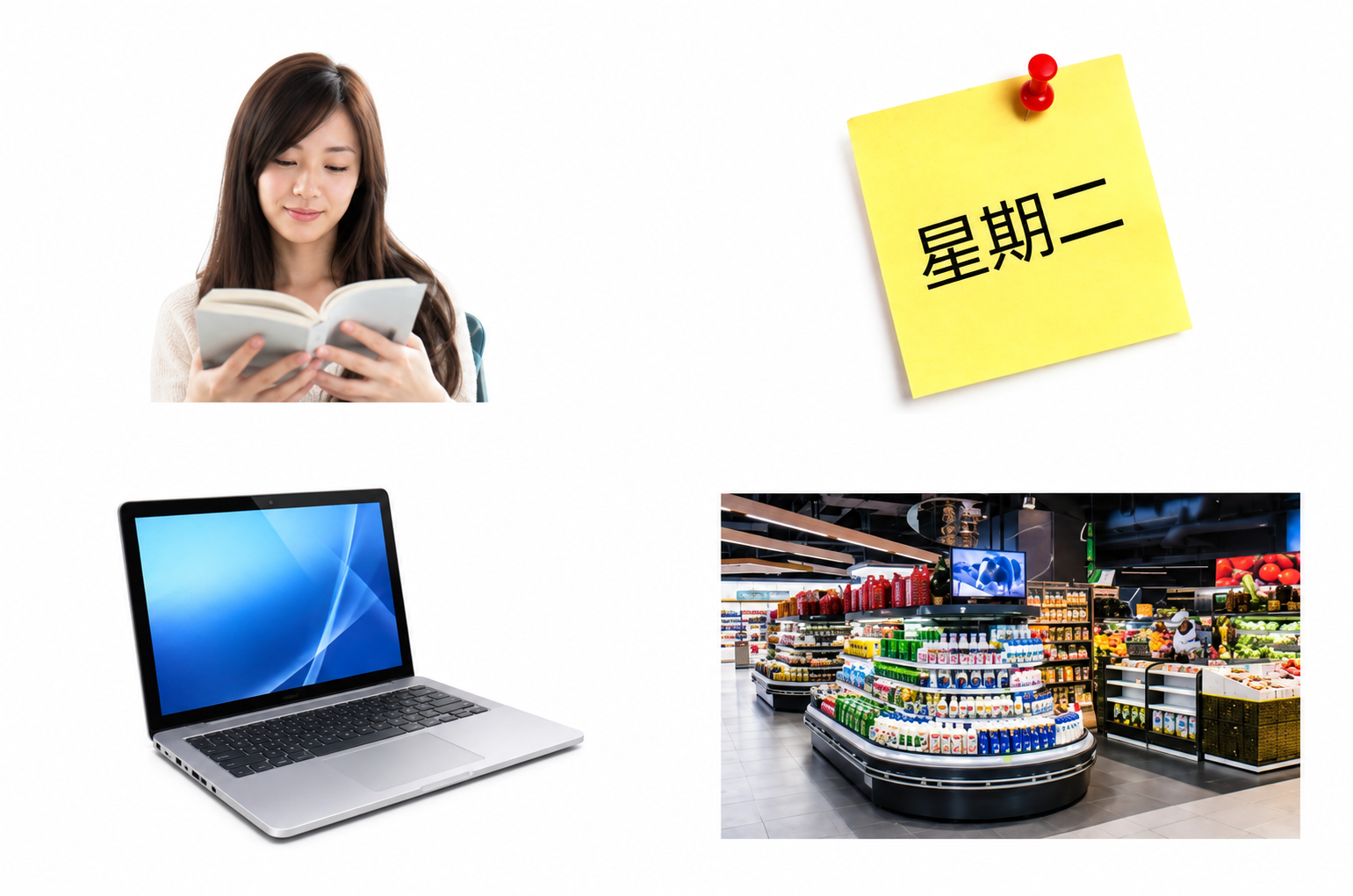 Các hình A đến D cho câu 11-13